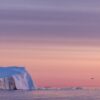 Jurnal de Nord, Groenlanda. Ziua 2: „tot ce vedeam era un curcubeu de nuanțe roșiatice, în spatele aisbergurilor albastre“