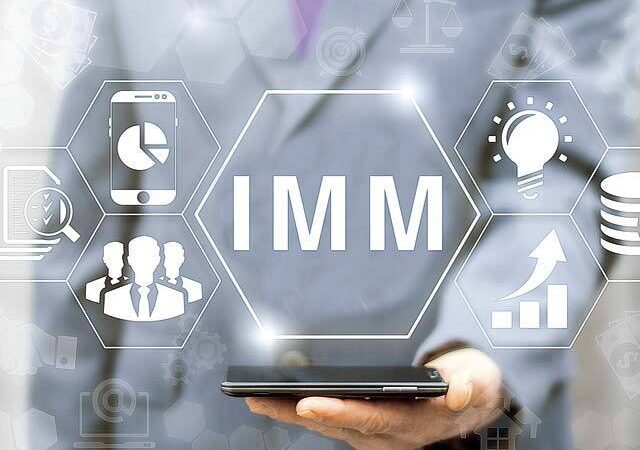 IMM Plus a fost aprobat de Guvern IMM Plus a fost aprobat de Guvern