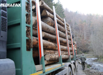 USR avertizează asupra renunţării la confiscarea vehiculelor care transportă ilegal lemne USR avertizează asupra renunţării la confiscarea vehiculelor care transportă ilegal lemne