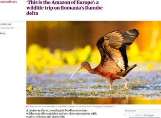 „Amazonul Europei” – un loc mirific din România, din nou în presa internațională