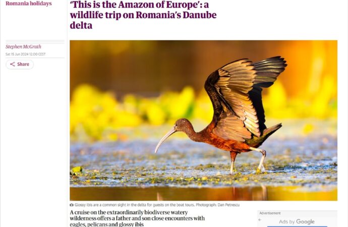 „Amazonul Europei” – un loc mirific din România, din nou în presa internațională „Amazonul Europei” – un loc mirific din România, din nou în presa internațională