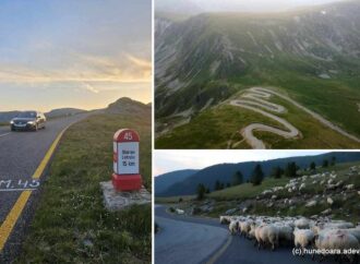 Ce găsesc turiștii pe Transalpina, Drumul regelui. Locurile idilice văzute de pe șoseaua unicat VIDEO Ce găsesc turiștii pe Transalpina, Drumul regelui. Locurile idilice văzute de pe șoseaua unicat VIDEO
