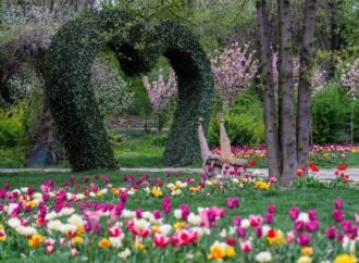 Cele mai frumoase grădini botanice din România, oaze de liniște și de relaxare FOTO