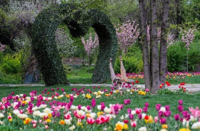 Cele mai frumoase grădini botanice din România, oaze de liniște și de relaxare FOTO