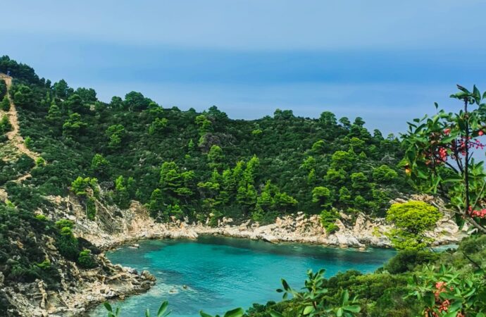 Cheltuielile de vacanță în Grecia au înregistrat creșteri record. Cât costă o escapadă în paradisul elen VIDEO