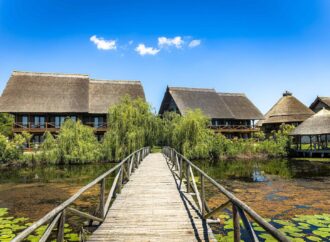 Delta Dunării: experiențe unice pentru turiștii iubitori de natură, în cel mai tânăr tărâm al Europei Delta Dunării: experiențe unice pentru turiștii iubitori de natură, în cel mai tânăr tărâm al Europei