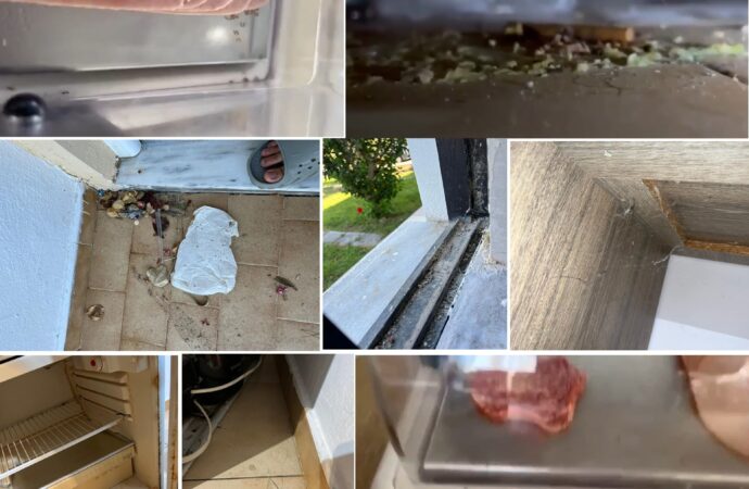 Vacanță de coșmar în Grecia: „Horror. Mi-aș dori să văd închis hotelul, să nu mai treacă nimeni prin asta” Vacanță de coșmar în Grecia: „Horror. Mi-aș dori să văd închis hotelul, să nu mai treacă nimeni prin asta”