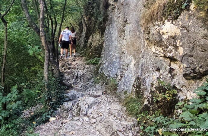 Loc emblematic din Apuseni, invadat de pantofari. Greșeala pe care o fac cei mai mulți turiști în Cheile Turzii Loc emblematic din Apuseni, invadat de pantofari. Greșeala pe care o fac cei mai mulți turiști în Cheile Turzii