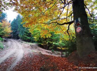 Drumurile care duc în sălbăticia Munților Șureanu. Cum ajungi în locurile uimitoare din parcul natural Drumurile care duc în sălbăticia Munților Șureanu. Cum ajungi în locurile uimitoare din parcul natural