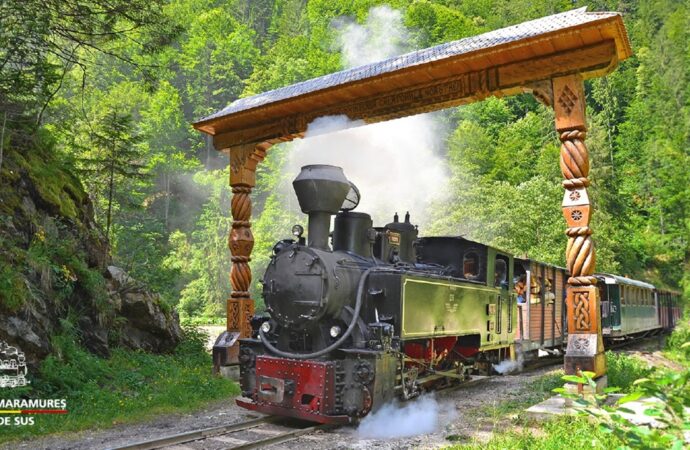 MOCĂNIȚELE ROMÂNIEI. Episodul 1: Aventura unică pe ultima linie forestieră cu abur din Carpați, în Maramureș