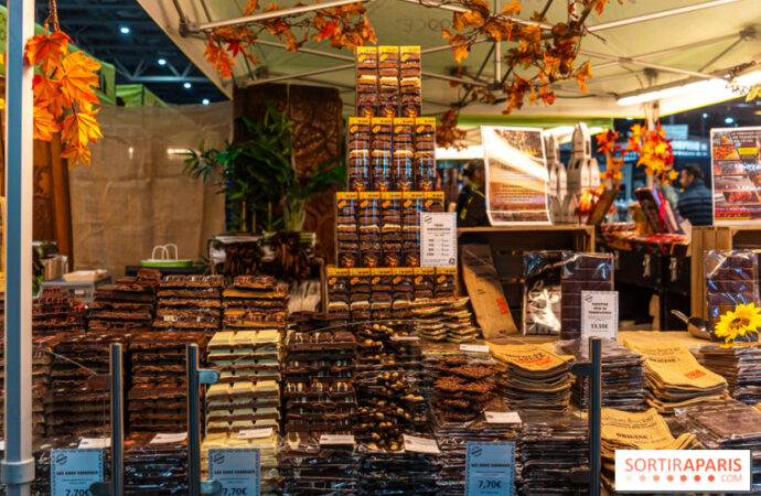 Unde mergi azi? La Salonul Ciocolatei din Paris