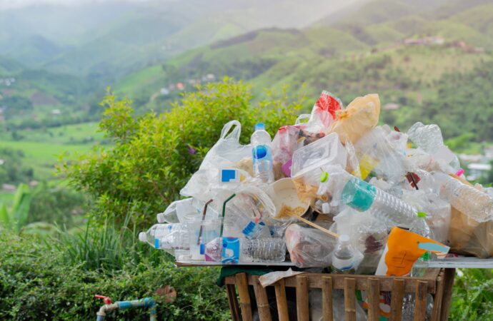 Jumătate din ambalajele alimentare din plastic ar putea fi eliminate. România s-a angajat să reducă poluarea până în 2050, potrivit GREEN Deal Jumătate din ambalajele alimentare din plastic ar putea fi eliminate. România s-a angajat să reducă poluarea până în 2050, potrivit GREEN Deal