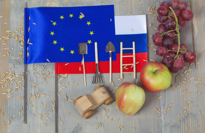 UE analizează posibilitatea majorării TAXELOR pentru mai multe produse agroalimentare rusești UE analizează posibilitatea majorării TAXELOR pentru mai multe produse agroalimentare rusești