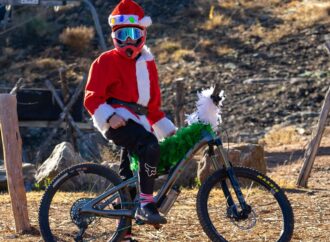 De Crăciun, în Cluj-Napoca vine bradul la tine…pe bicicletă
