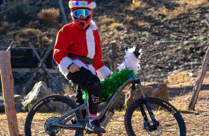 De Crăciun, în Cluj-Napoca vine bradul la tine…pe bicicletă