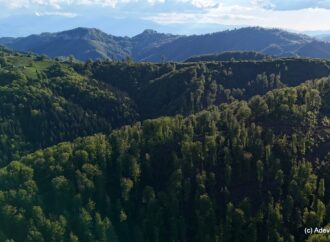 Descoperiri uimitoare în inima Munților Șureanu. Locul tainic unde stânele dacice au ieșit la iveală după două milenii Descoperiri uimitoare în inima Munților Șureanu. Locul tainic unde stânele dacice au ieșit la iveală după două milenii
