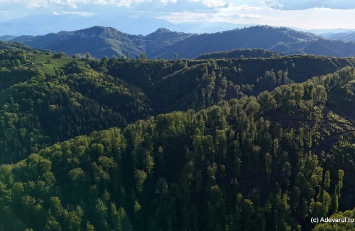 Descoperiri uimitoare în inima Munților Șureanu. Locul tainic unde stânele dacice au ieșit la iveală după două milenii