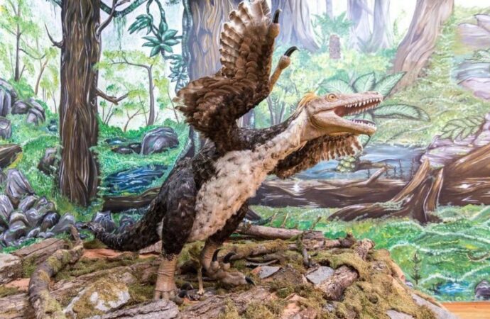 Lumea pierdută a dinozaurilor pitici din România. Descoperirile care i-au uimit pe savanți Lumea pierdută a dinozaurilor pitici din România. Descoperirile care i-au uimit pe savanți