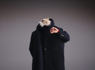 Choupette, pisica lui Karl Lagerfeld, e imaginea campaniei Hublot Choupette, pisica lui Karl Lagerfeld, e imaginea campaniei Hublot