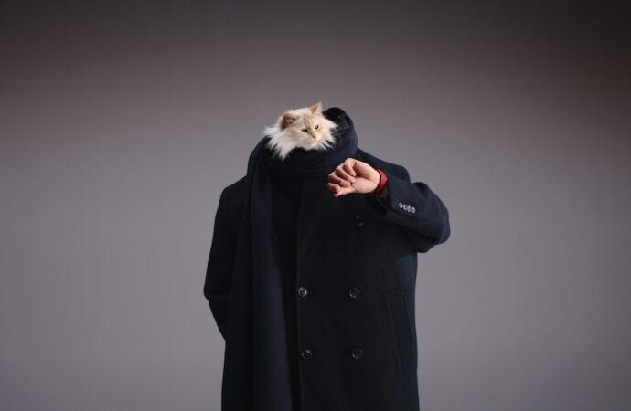 Choupette, pisica lui Karl Lagerfeld, e imaginea campaniei Hublot