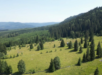 Bilbor & Toplița – colțuri de liniște pentru o vară perfectă Bilbor & Toplița – colțuri de liniște pentru o vară perfectă