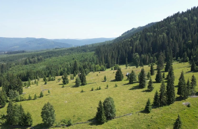Bilbor & Toplița – colțuri de liniște pentru o vară perfectă