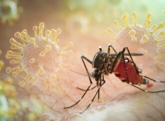 Avertisment pentru turiști. Virus tropical care poate duce la afectarea organelor, depistat într-o destinație populară de vacanță Avertisment pentru turiști. Virus tropical care poate duce la afectarea organelor, depistat într-o destinație populară de vacanță