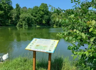 În Parcul Tineretului ai parte de un tur ornitologic ghidat
