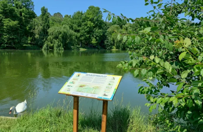 În Parcul Tineretului ai parte de un tur ornitologic ghidat