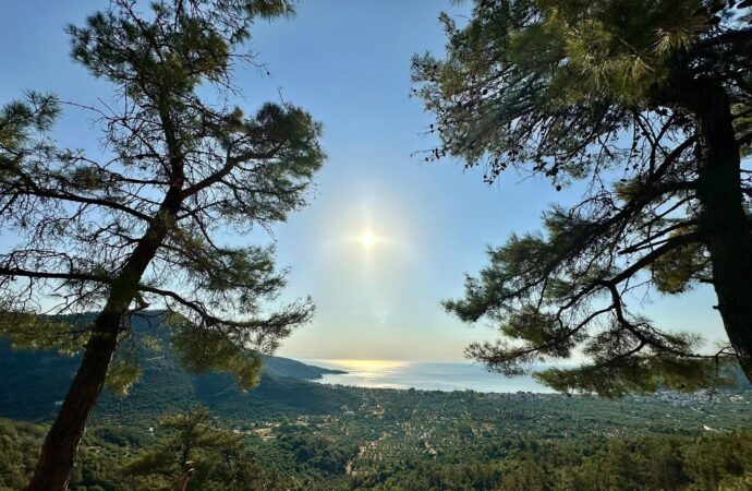 Cât costă o vacanță completă în Thassos pentru o familie cu copil și cățel, plus recomandări testate. Insula de smarald fără secrete Cât costă o vacanță completă în Thassos pentru o familie cu copil și cățel, plus recomandări testate. Insula de smarald fără secrete