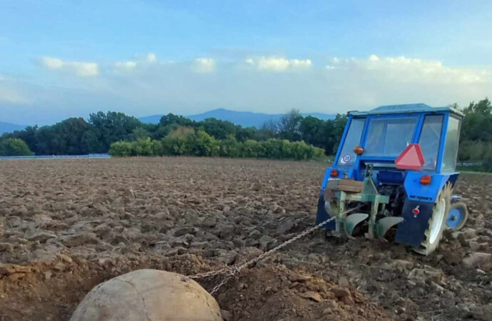 Fermierii renunță la o cultură esențială pentru România. Promisiunile Ministerului Agriculturii