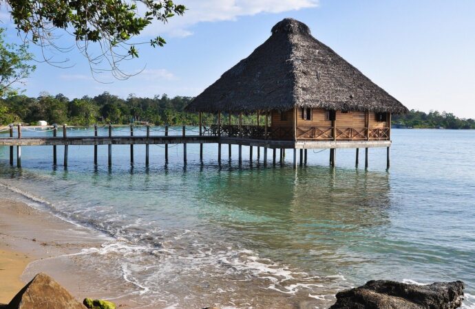 Vacanță de coșmar în Caraibe pentru o turistă: „Am aterizat în iad, nu într-un paradis tropical”. Ce a distrus experiența exotică Vacanță de coșmar în Caraibe pentru o turistă: „Am aterizat în iad, nu într-un paradis tropical”. Ce a distrus experiența exotică