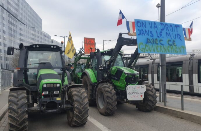 Fermierii francezi protestează la Strasbourg. Au adus zeci de utilaje agricole în fața Parlamentului European. Care sunt mesajele și nemulțumirile Fermierii francezi protestează la Strasbourg. Au adus zeci de utilaje agricole în fața Parlamentului European. Care sunt mesajele și nemulțumirile