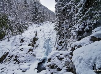 Cascada Lolaia, monumentul de gheață din Retezat. Ce găsesc turiștii iarna în locul emblematic de pe valea Pietrele Cascada Lolaia, monumentul de gheață din Retezat. Ce găsesc turiștii iarna în locul emblematic de pe valea Pietrele