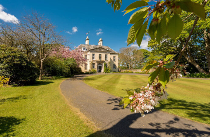 Țara care a anunțat că taxează conacele și avioanele private ale bogaților ca să-și protejeze săracii, în timp ce Trump dă peste cap cea mai celebră băutură a lumii