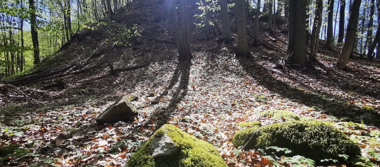 Enigmele sanctuarului de la Pustiosu, de pe Via Transilvanica. Locul tainic al dacilor, lângă fostele mine de uraniu