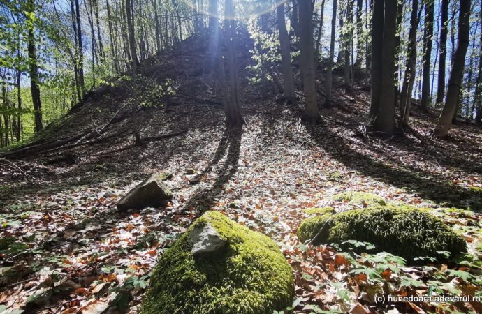 Enigmele sanctuarului de la Pustiosu, de pe Via Transilvanica. Locul tainic al dacilor, lângă fostele mine de uraniu