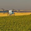Unde nu a răsărit rapița? AEROCROP identifică zonele afectate cu ajutorul dronei Unde nu a răsărit rapița? AEROCROP identifică zonele afectate cu ajutorul dronei