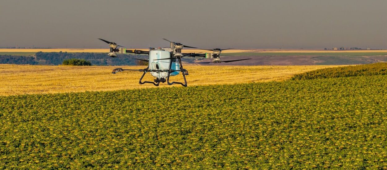 Unde nu a răsărit rapița? AEROCROP identifică zonele afectate cu ajutorul dronei