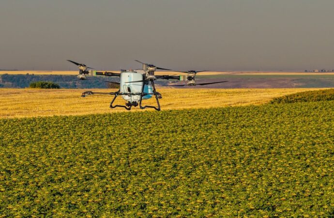 Unde nu a răsărit rapița? AEROCROP identifică zonele afectate cu ajutorul dronei Unde nu a răsărit rapița? AEROCROP identifică zonele afectate cu ajutorul dronei